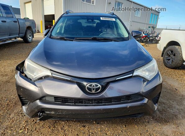 2T3BFREV6HW647249 2017 TOYOTA RAV4 Gray Vista frontal