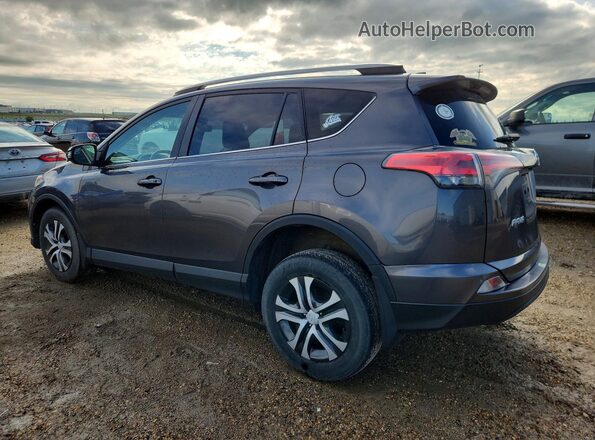 2T3BFREV6HW647249 2017 TOYOTA RAV4 Gray Tył lewy