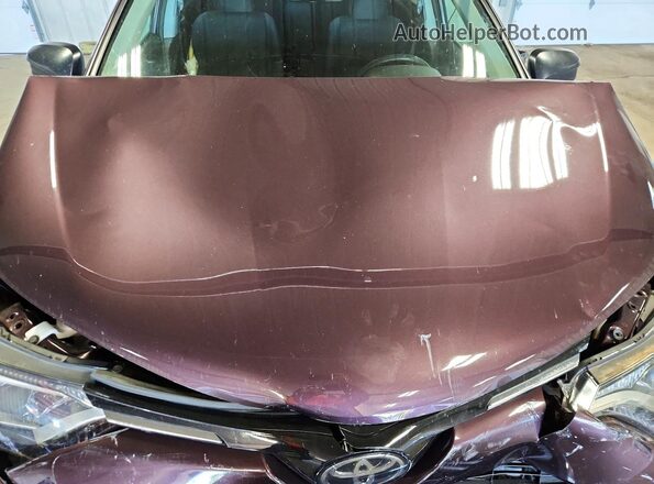 2T3BFREV6HW659255 2017 TOYOTA RAV4 Burgundy Vista del compartimento del motor