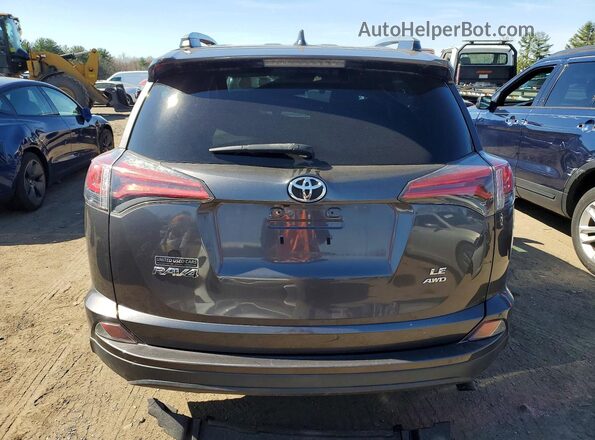 2T3BFREVXHW638165 2017 TOYOTA RAV4 Charcoal Вид ззаду