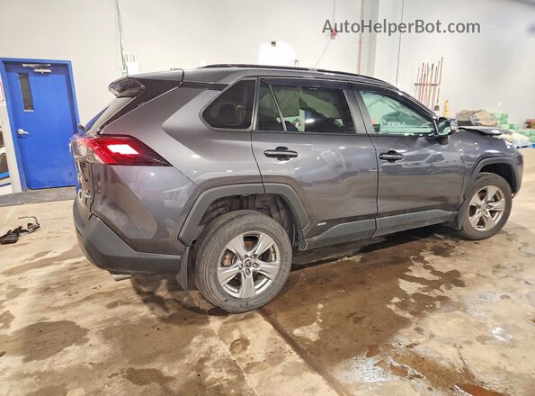 2T3BWRFV3RW205559 2024 TOYOTA RAV4 Gray Rear right