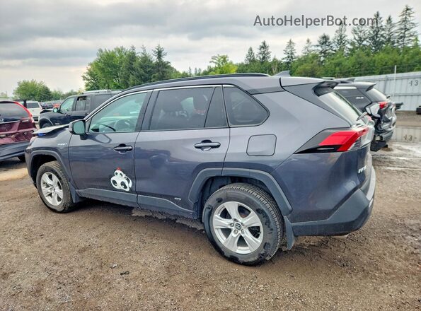 2T3BWRFV7KW008142 2019 TOYOTA RAV4 Gray უკანა მარცხენა