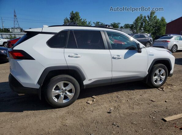 2T3BWRFV8MW123237 2021 TOYOTA RAV4 White Հետևի աջ