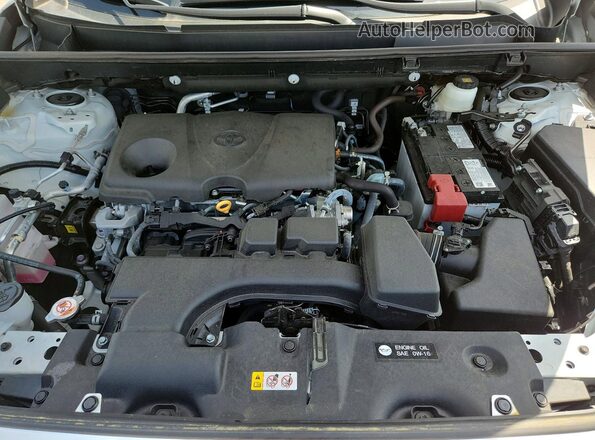 2T3C1RFV3SW394593 2025 TOYOTA RAV4 White უკანა სალონის ხედი