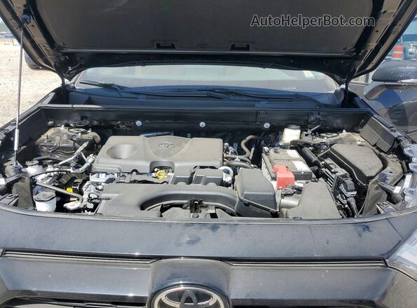 2T3C1RFV4SW436950 2025 TOYOTA RAV4 Черный Вид задней части салона