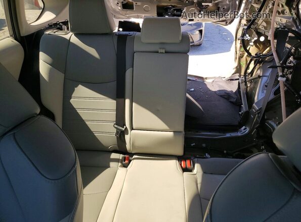 2T3C1RFV7KC021171 2019 TOYOTA RAV4 Gray Հետևի նստատեղերի տեսք