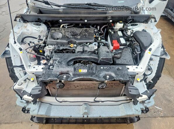 2T3C1RFVXRW308920 2024 TOYOTA RAV4 White Սալոնի հետևի տեսք