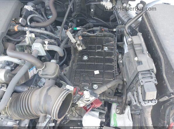 2T3C1RFVXRW314040 2024 TOYOTA RAV4 White 