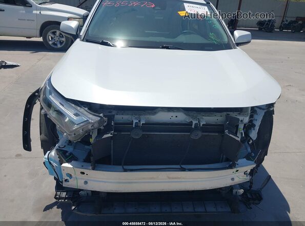 2T3C1RFVXRW314040 2024 TOYOTA RAV4 White 