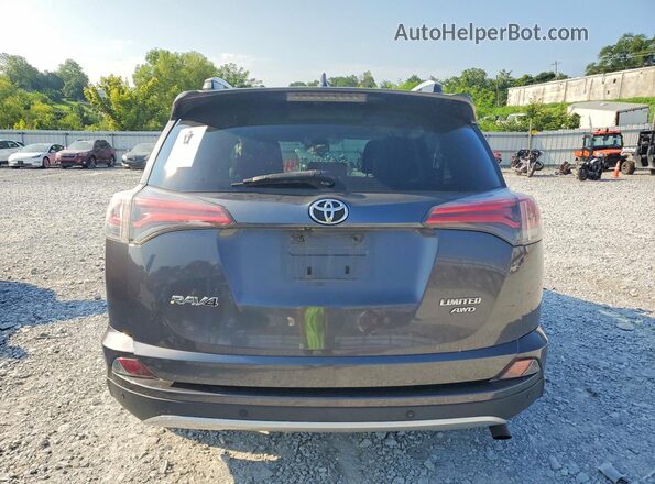 2T3DFREV4GW481174 2016 TOYOTA RAV4 Gray Widok z tyłu