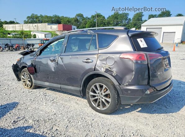 2T3DFREV4GW481174 2016 TOYOTA RAV4 Gray Tył lewy