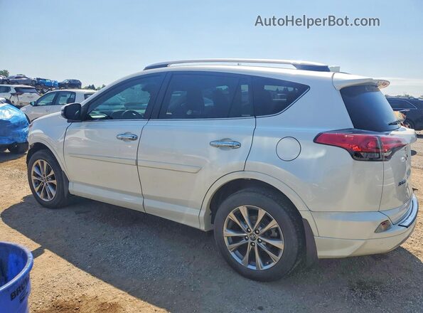 2T3DFREV5HW545028 2017 TOYOTA RAV4 White Задня ліва чверть