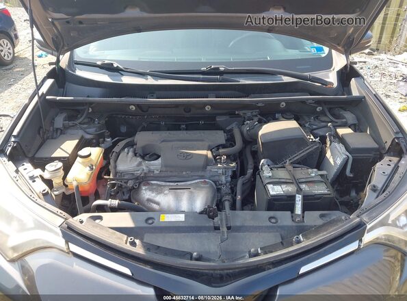 2T3DFREV8GW494929 2016 TOYOTA RAV4 Gray Вид ззаду