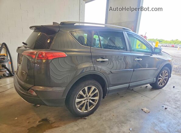 2T3DFREVXGW437325 2016 TOYOTA RAV4 Gray Հետևի աջ