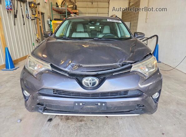 2T3DFREVXGW437325 2016 TOYOTA RAV4 Gray Դիմացի տեսք