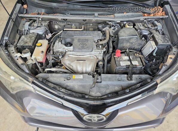 2T3DFREVXGW437325 2016 TOYOTA RAV4 Gray Սալոնի հետևի տեսք