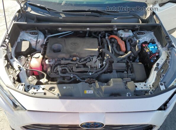 2T3DWRFV1KW038889 2019 TOYOTA RAV4 White 