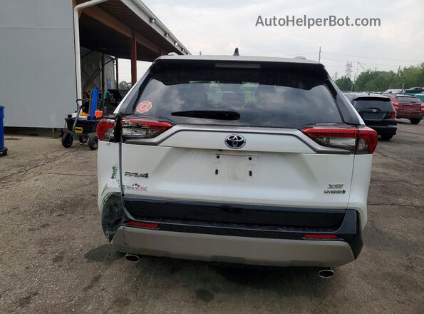 2T3E6RFV0RW059246 2024 TOYOTA RAV4 Белый Вид сзади