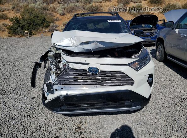 2T3E6RFV1MW017483 2021 TOYOTA RAV4 White Front view