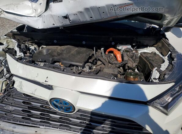 2T3E6RFV1MW017483 2021 TOYOTA RAV4 White Engine compartment view