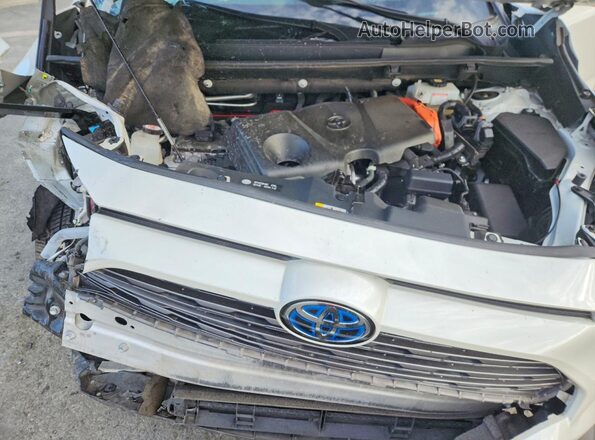 2T3E6RFV1MW022599 2021 TOYOTA RAV4 White Շարժիչի բաժամունքի տեսք
