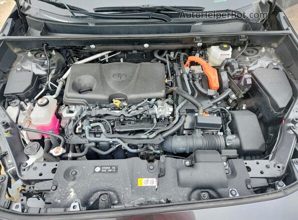 2T3E6RFV1PW041917 2023 TOYOTA RAV4 Gray Вид задньої частини салону