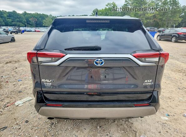 2T3E6RFV1PW041917 2023 TOYOTA RAV4 Gray Вид ззаду