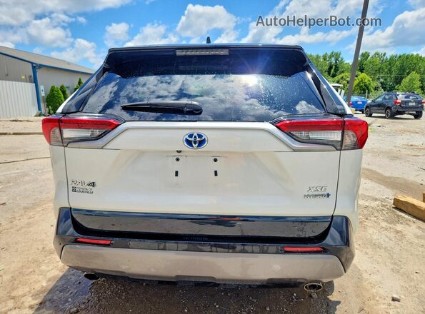 2T3E6RFV7MW006617 2021 TOYOTA RAV4 White Rear view