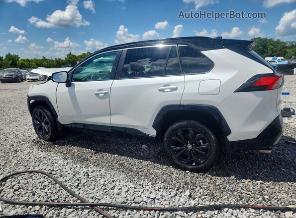 2T3E6RFV8RW047944 2024 TOYOTA RAV4 Белый Задняя левая четверть