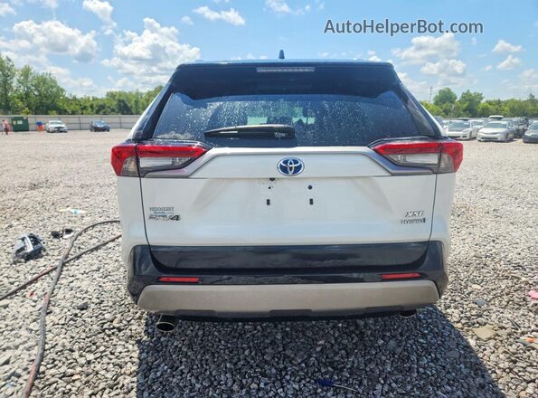 2T3E6RFV8RW047944 2024 TOYOTA RAV4 Белый Вид сзади