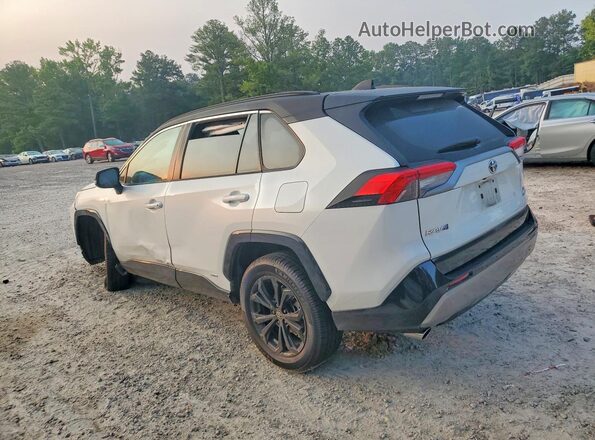 2T3E6RFV9PW042829 2023 TOYOTA RAV4 White უკანა მარცხენა