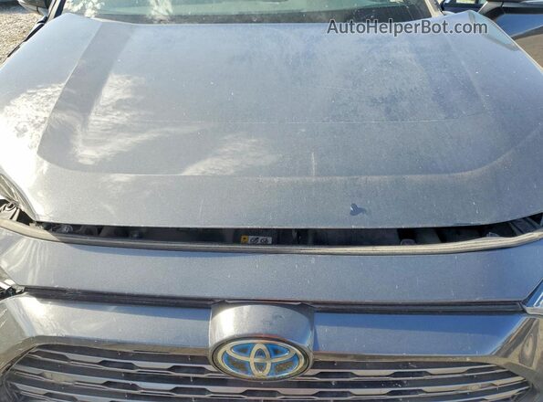 2T3EWRFV0LW074188 2020 TOYOTA RAV4 Gray Rear interior view
