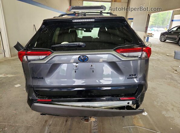 2T3EWRFV1LW096586 2020 TOYOTA RAV4 Gray Rear view