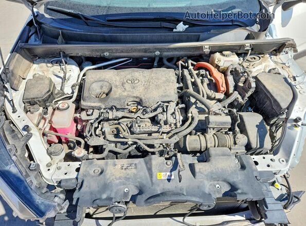 2T3EWRFV8KW014187 2019 TOYOTA RAV4 White უკანა სალონის ხედი
