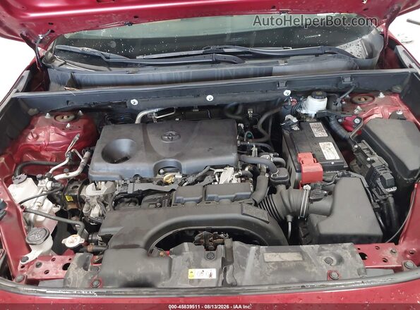 2T3F1RFV0KW045551 2019 TOYOTA RAV4 Maroon Вид ззаду