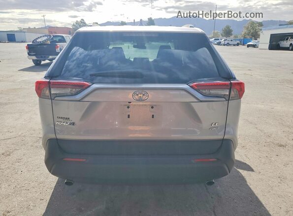 2T3F1RFV0LC082473 2020 TOYOTA RAV4 Silver Rear view