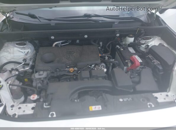 2T3F1RFV8RC458927 2024 TOYOTA RAV4 Белый Вид сзади