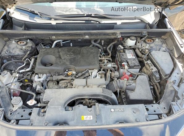 2T3F1RFV9KW070223 2019 TOYOTA RAV4 Black VIN կոդի պիտակի տեսք