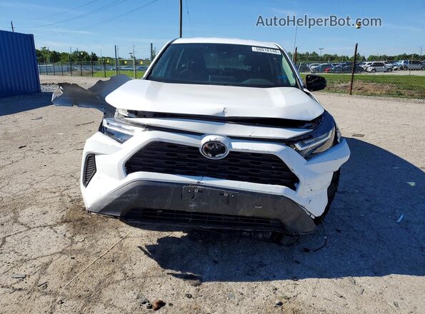 2T3F1RFV9RW460944 2024 TOYOTA RAV4 Белый Вид спереди