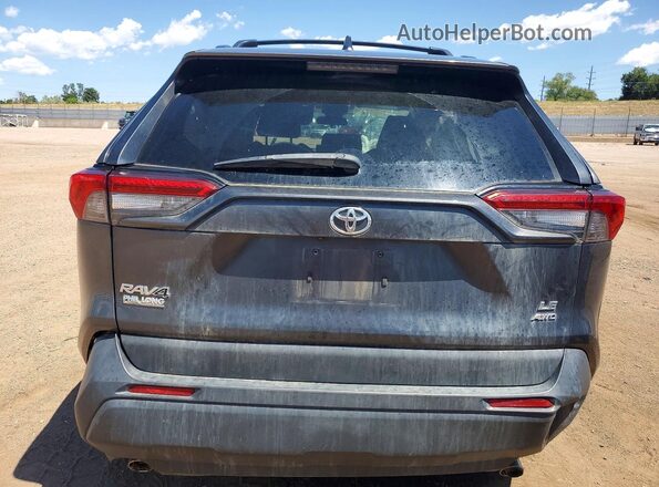 2T3F1RFVXLC088975 2020 TOYOTA RAV4 Серый Вид сзади