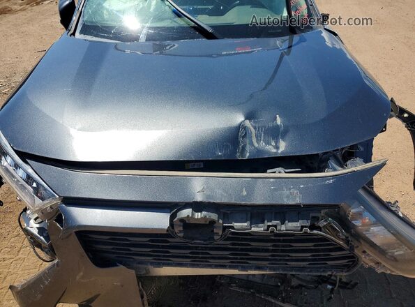 2T3F1RFVXLC088975 2020 TOYOTA RAV4 Серый Вид задней части салона