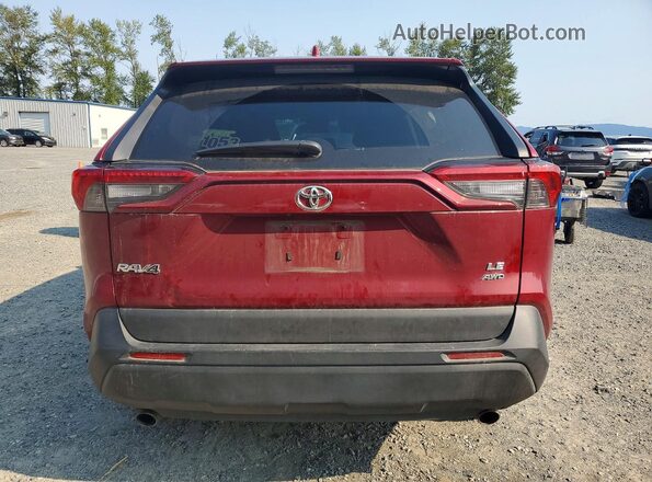 2T3G1RFV3KW083070 2019 TOYOTA RAV4 Red Widok z tyłu