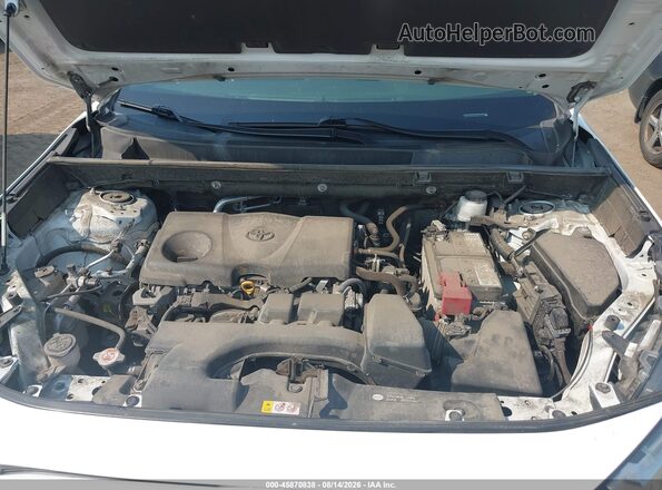 2T3G1RFV3PC341533 2023 TOYOTA RAV4 White უკანა ხედი