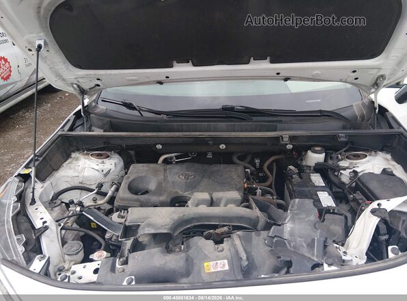 2T3G1RFV5PC381256 2023 TOYOTA RAV4 White უკანა ხედი