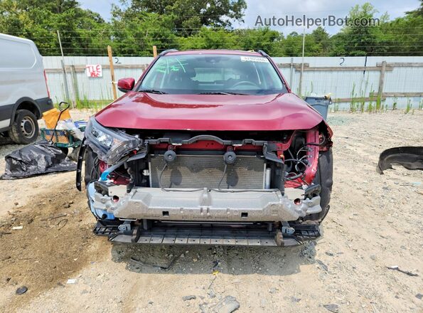 2T3G1RFV9KC003580 2019 TOYOTA RAV4 Красный Вид спереди