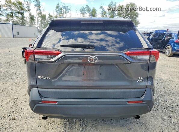 2T3G1RFV9LW098237 2020 TOYOTA RAV4 Серый Вид сзади