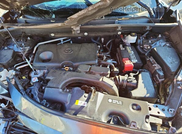 2T3H1RFV0LC069683 2020 TOYOTA RAV4 Gray Вид задньої частини салону