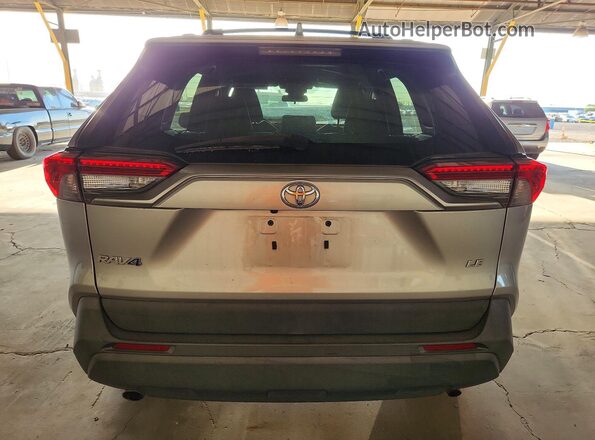 2T3H1RFV0LC070980 2020 TOYOTA RAV4 Silver Вид ззаду