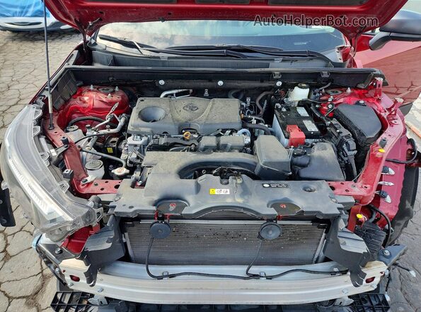 2T3H1RFV1RW317964 2024 TOYOTA RAV4 Red Widok wnętrza z tyłu
