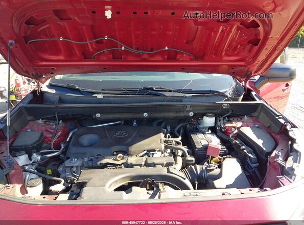 2T3H1RFV4KW036568 2019 TOYOTA RAV4 Красный Вид сзади